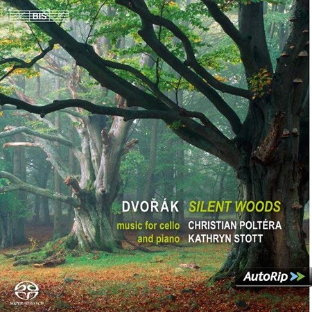 cd cover image for Dvorák: Silent Woods